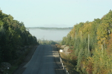 Enlarge photo 497