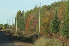 Enlarge photo 498
