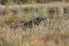 Enlarge photo 506