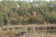 Enlarge photo 507