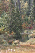 Enlarge photo 509
