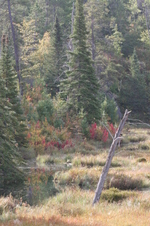Enlarge photo 510