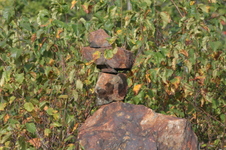 Enlarge photo 511
