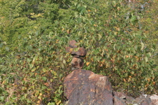 Enlarge photo 512