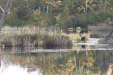 Enlarge photo 514