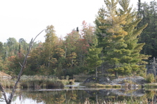 Enlarge photo 515