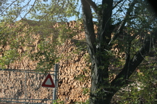 Enlarge photo 519