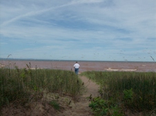 Enlarge photo 237