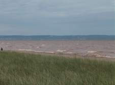Enlarge photo 245