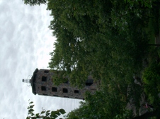 Enlarge photo 247