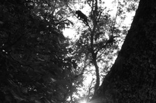 Enlarge photo 153