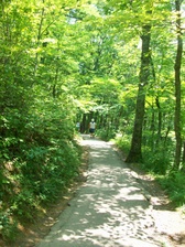 Enlarge photo 59