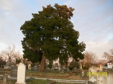 Enlarge photo 25