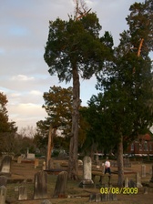 Enlarge photo 28
