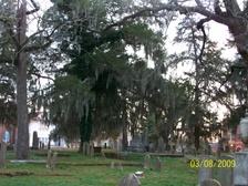 Enlarge photo 31