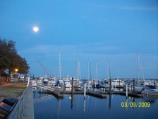 Enlarge photo 39