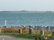 Enlarge photo 48