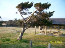 Enlarge photo 49