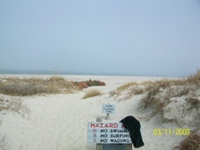 Enlarge photo 51
