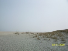 Enlarge photo 52
