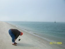 Enlarge photo 54