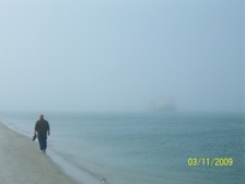 Enlarge photo 56