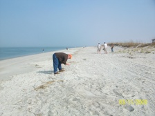 Enlarge photo 64