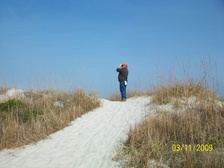 Enlarge photo 66