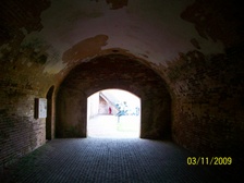 Enlarge photo 75