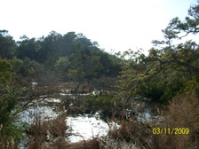 Enlarge photo 86