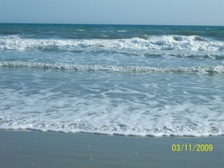 Enlarge photo 93