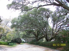 Enlarge photo 97