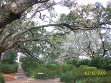 Enlarge photo 104