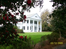 Enlarge photo 106