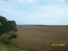 Enlarge photo 108