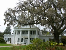 Enlarge photo 111