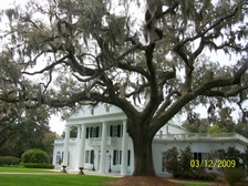 Enlarge photo 112