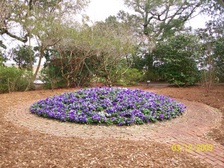 Enlarge photo 113