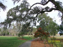 Enlarge photo 114