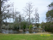 Enlarge photo 115