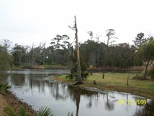 Enlarge photo 119
