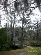 Enlarge photo 120