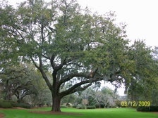 Enlarge photo 125