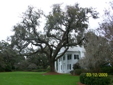 Enlarge photo 126