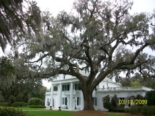 Enlarge photo 127
