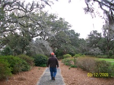 Enlarge photo 128
