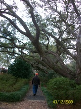 Enlarge photo 129