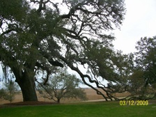 Enlarge photo 132