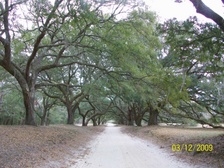 Enlarge photo 133