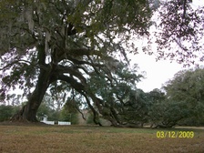 Enlarge photo 134